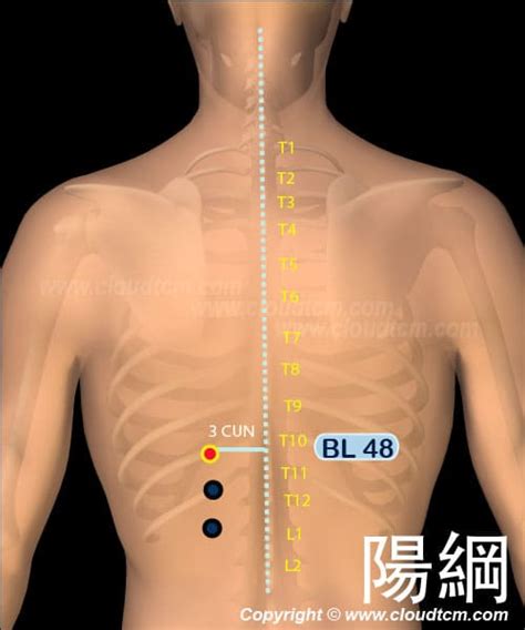 陽綱穴